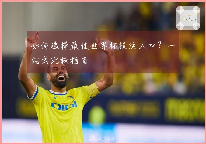 如何选择最佳世界杯投注入口？一站式比较指南