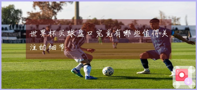 世界杯买球盘口究竟有哪些值得关注的细节