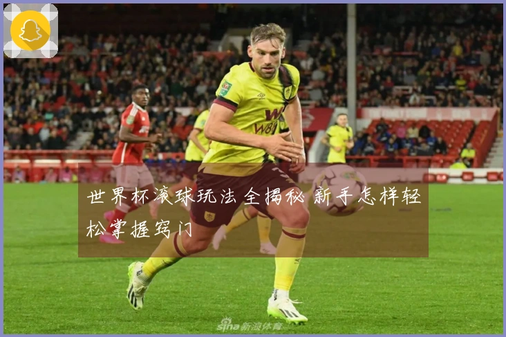世界杯滚球玩法全揭秘 新手怎样轻松掌握窍门