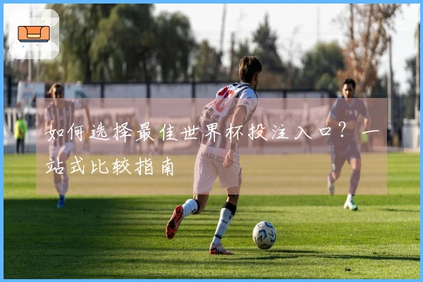 如何选择最佳世界杯投注入口？一站式比较指南