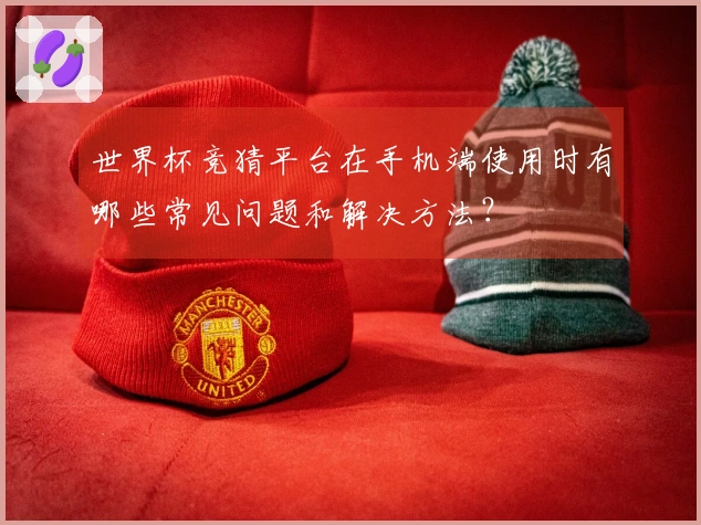 世界杯竞猜平台在手机端使用时有哪些常见问题和解决方法?
