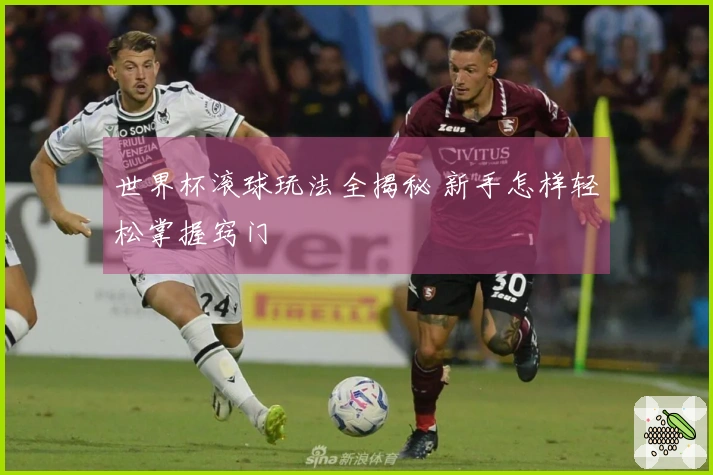 世界杯滚球玩法全揭秘 新手怎样轻松掌握窍门