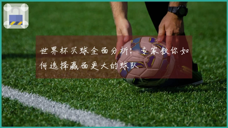 世界杯买球全面分析：专家教你如何选择赢面更大的球队