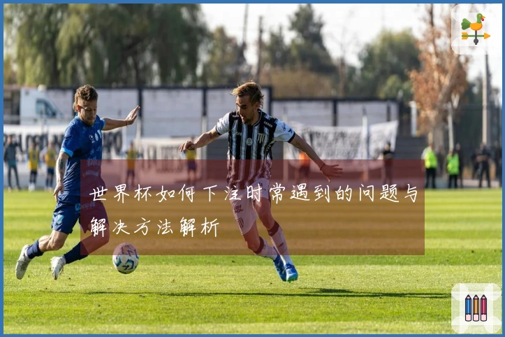 世界杯如何下注时常遇到的问题与解决方法解析
