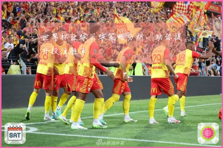 世界杯让球买球策略分析，助你提升投注胜率