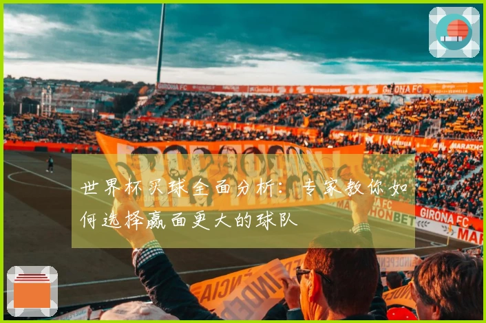 世界杯买球全面分析:专家教你如何选择赢面更大的球队